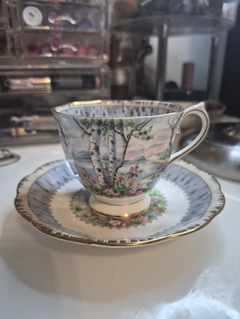 Royal Albert Silver Birch